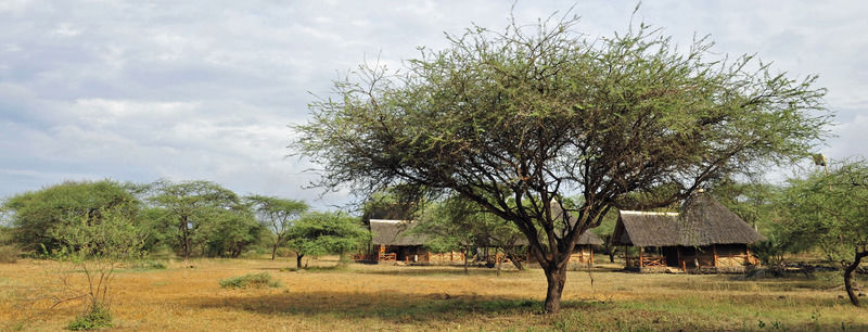 Severin Safari Camp Tsavo Экстерьер фото