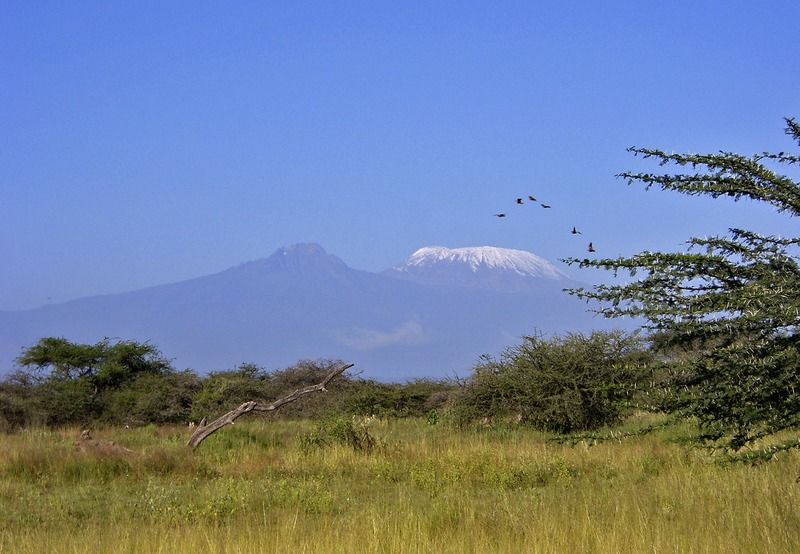 Severin Safari Camp Tsavo Экстерьер фото