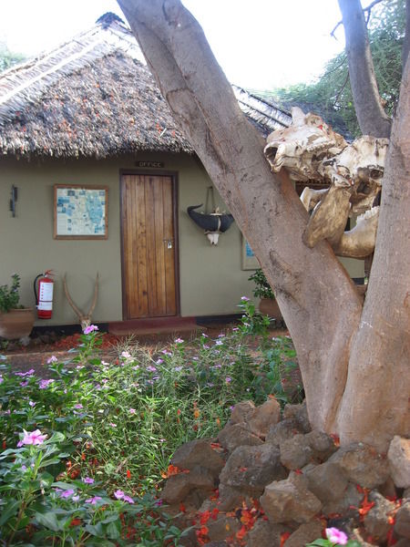 Severin Safari Camp Tsavo Экстерьер фото