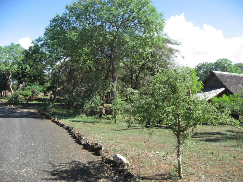 Severin Safari Camp Tsavo Экстерьер фото